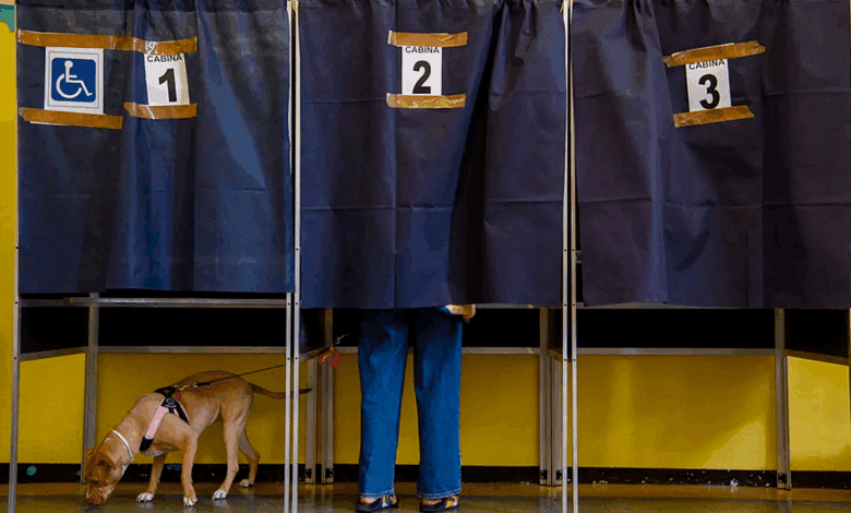 elecciones regionales Italia resultados 2025