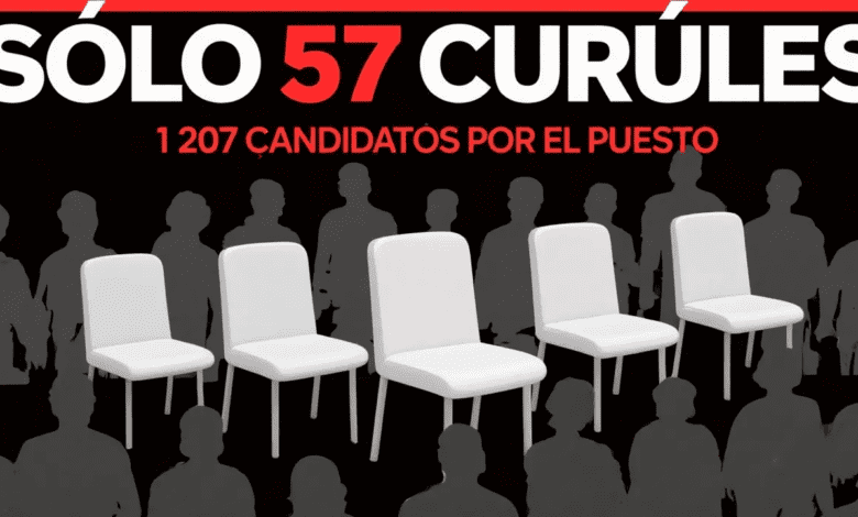 candidatos a diputados