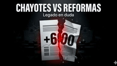 Asamblea: legado entre leyes, críticas y control