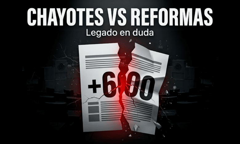 Asamblea: legado entre leyes, críticas y control