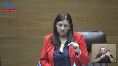 reforma protección menores busca garantizar justicia pronta y accesible para la niñez costarricense, según la diputada.