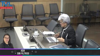 La magistrada Julia Varela defiende su reelección ante diputados con una caída del 68% en casos pendientes y su trayectoria.